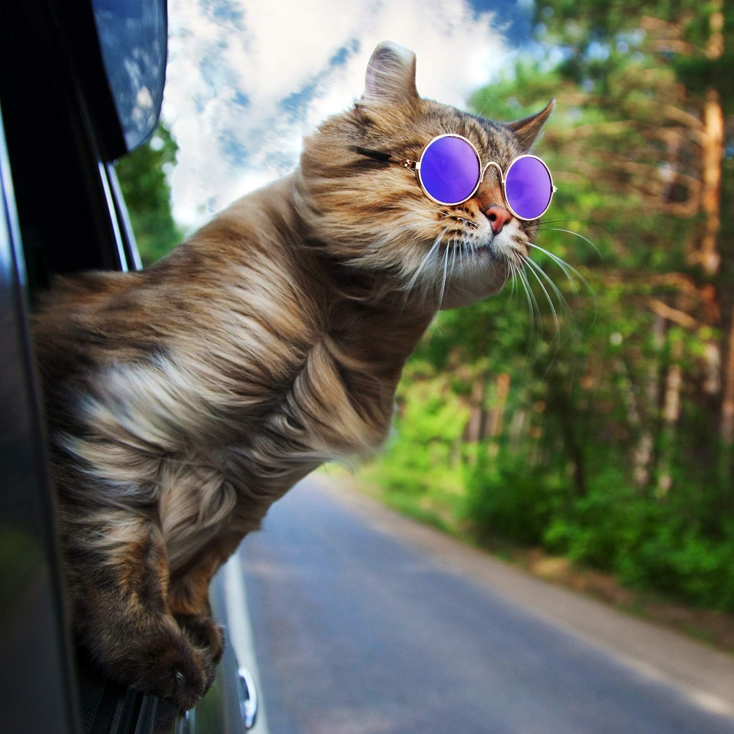 6 Pcs Cat Sunglasses Funny Pet Sunglasses Classic Retro Circular Pomeranian Eyewear Photos Props Accessories Cosplay Glasses for Cat Puppy Small Medium Dog(Black and Mix Reflective Color)