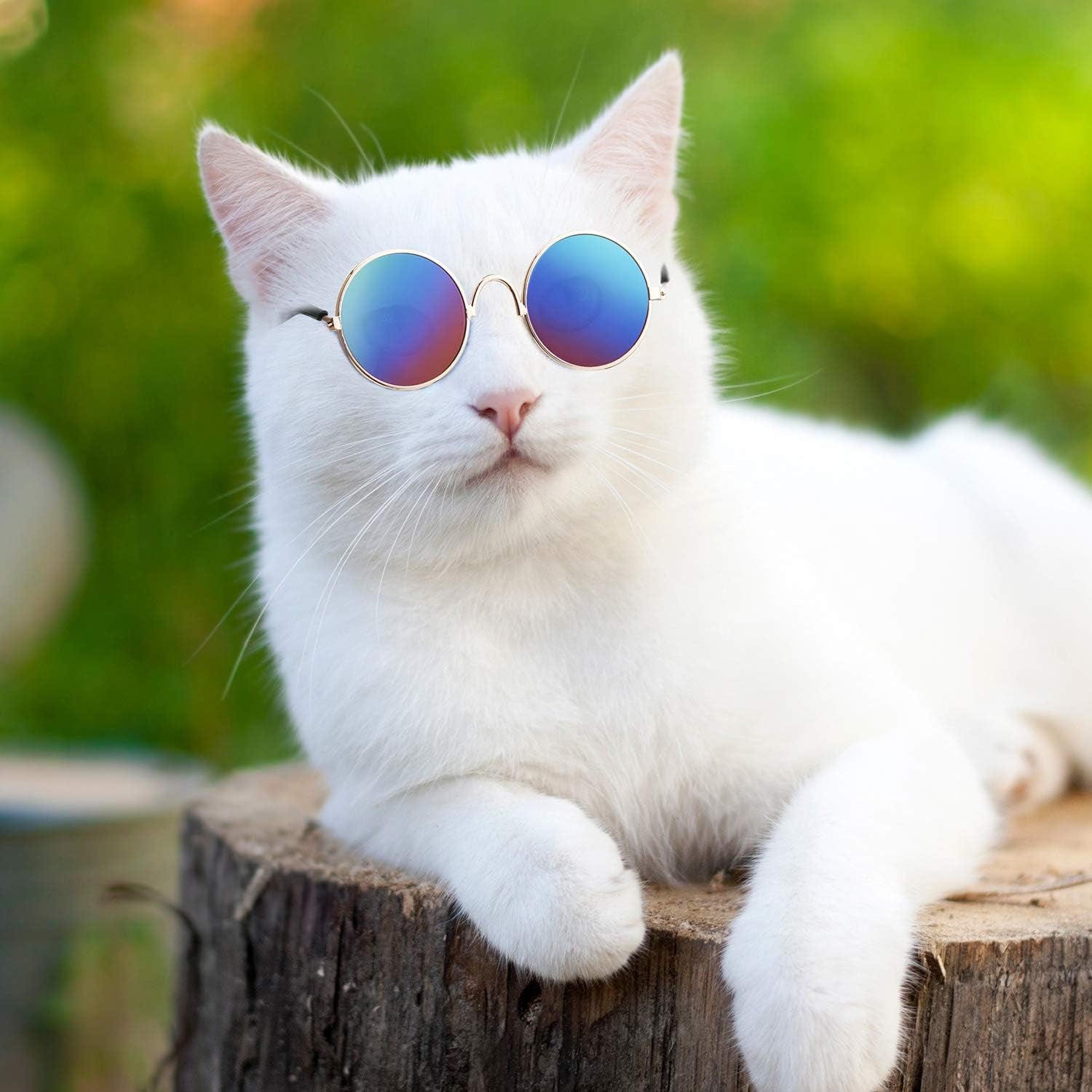 6 Pcs Cat Sunglasses Funny Pet Sunglasses Classic Retro Circular Pomeranian Eyewear Photos Props Accessories Cosplay Glasses for Cat Puppy Small Medium Dog(Black and Mix Reflective Color)