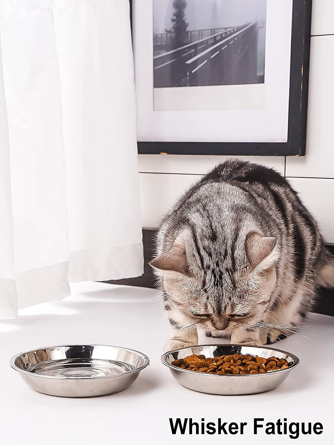 Stainless Steel Shallow Cat Food Bowl 8.1 Inch, Medium Whisker Fatigue Cat Food Dish 26.7 Fl.Oz, Replacement Basic Kitten Bowls Bulk for Elevated Stand, Dishwasher Safe (Set of 2)